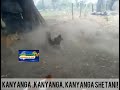 VITA KALI KATI YA KUKU NA MWEWE VITA KALI KATI YA KUKU NA MWEWE