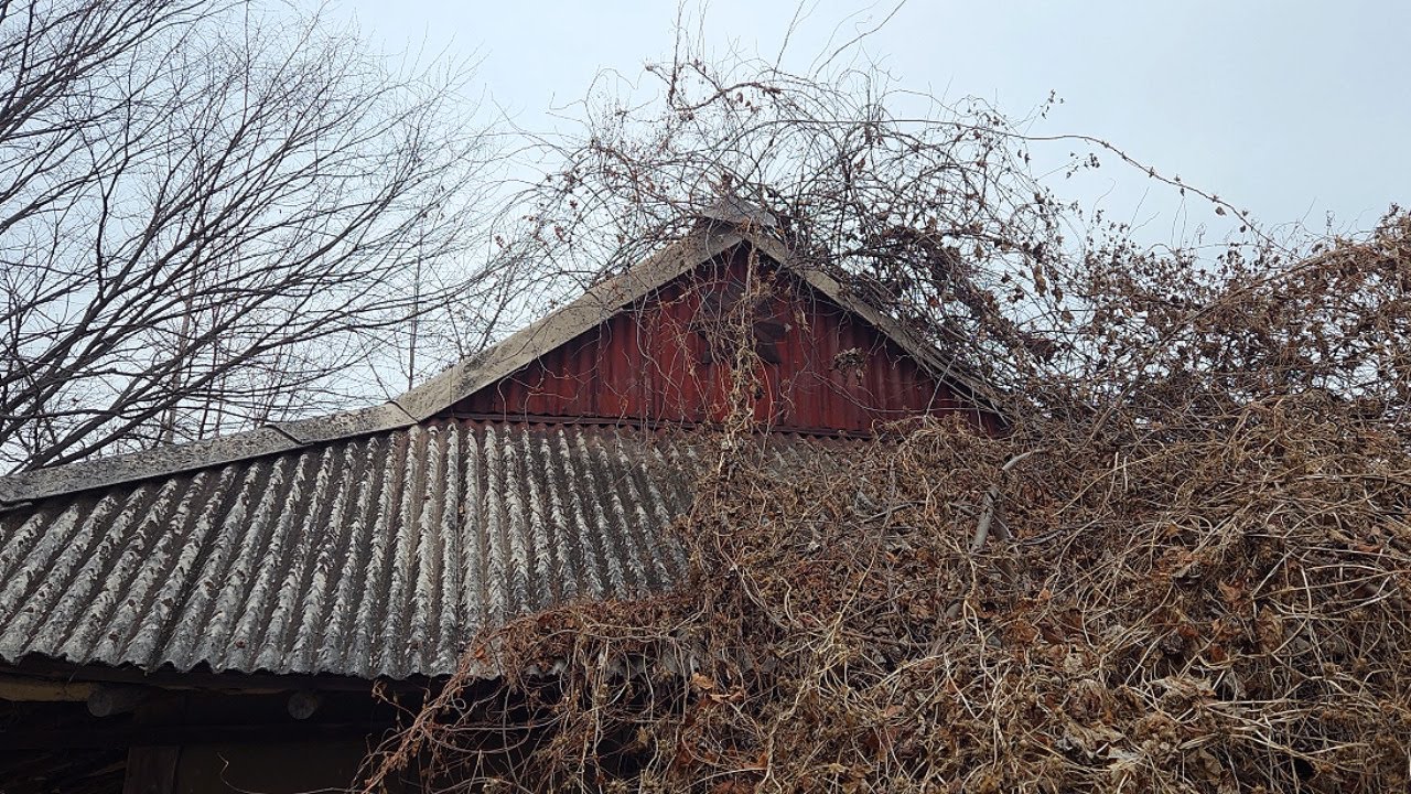 경기도 숨겨진 폐가를 찾아서 | 폐교회와 풀에 덮인 기묘한 집 Abandoned Houses
