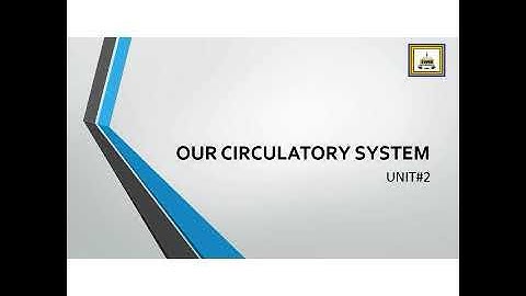 Unit 2: Our Circulatory System (Complete Exercise); Science Grade 4.