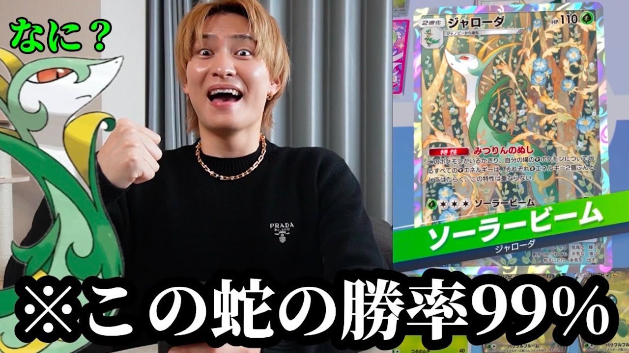 ポケモンカードゲーム DAIKI If you have the strongest grass snake in PokePoke, you will never