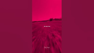 Thumbnail of 𝑨𝒍𝒍 𝒂𝒃𝒐𝒖𝒕 𝒕𝒉𝒂𝒕 𝒃𝒂𝒔𝒔🖤🎧#fyp #music #allaboutthatbass #lyrics #meghantrainor #skydesign1TikTok