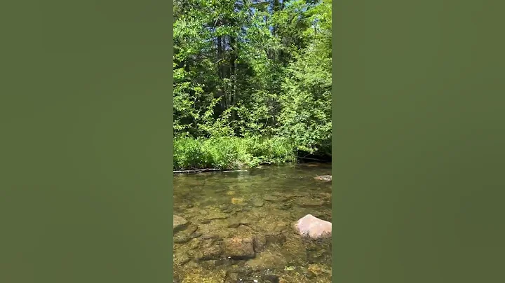 Real Estate for Sale - Sandy River Plantation
