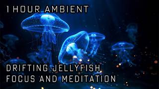 Drifting Jellyfish | 1-Hour Deep Sea Sci-Fi Ambience