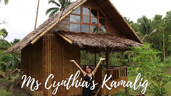 KAMALIG TOUR "Nipa Hut" and the process from exterior to interior design "New Outdoor Kitchen" Bohol