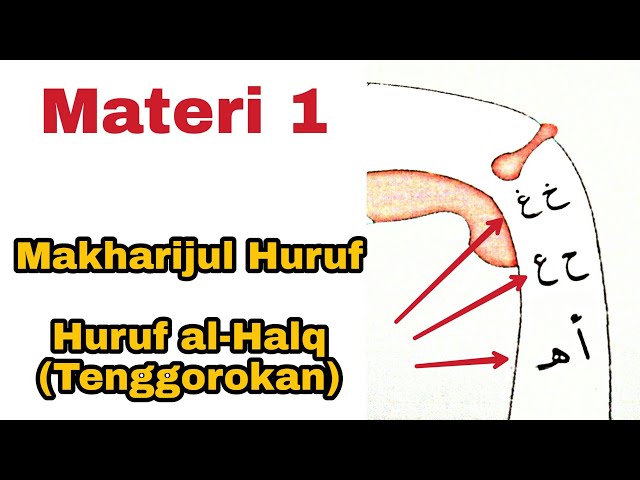 Episode 1. Makharijul Huruf (Materi al-Halq/Huruf Tenggorokan) | Tajwid Pemula class=