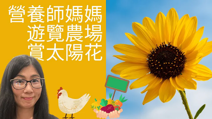 Richmond Country Farm 親子好去處 | 遊覽有機農場 蔬果市場 | 太陽花展 - 天天要聞
