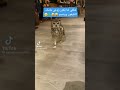 شكلي لما زوجي يكون ماسك التلفون ويبتسم 