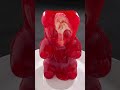 What&#39;s Inside This Gummy Bear Will Haunt You