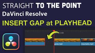 Insert a Gap at the Playhead in DaVinci Resolve Net Worth