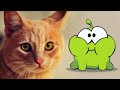 Om Nom Stories | Om Nom And The Cat | Cartoons For Kids