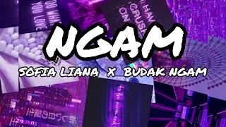 Miniatura del video "Sofia Liana - NGAM ft. Budak Ngam (Lirik)"