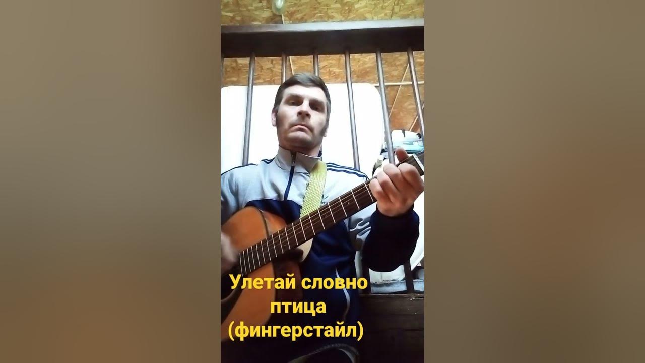 Слушать губин улетай словно. Губин улетай словно птица. улетай словно птица кавер.