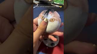 Our Custom Pet Portrait Plush Pin is the perfect way to carry your furriend's charm wherever you go