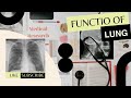 Function of the lung | Humen Lung | Respiratory system