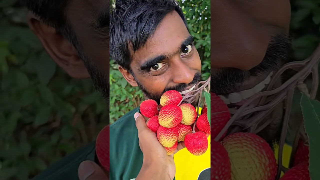 🍒🤯🍓🍦ASMR Оригинальная американская жевательная резинка Dubble Bubble (3 фруктовых вкуса) AND3