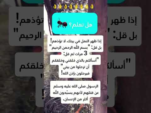 هل تعلم اذا ظهر النمل فى بيتك اكسبلور معلومات ترند    دين لايك