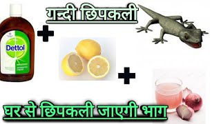 how to get rid lizard || छिपकली को घर से कैसे भगाए || छिपकली भगाने के घरेलू नुस्खे ||