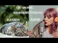 Die große Raubtierfütterung Katze ASMR