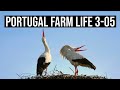 LIFE under LOCKDOWN on a Central Portugal Farm |PORTUGAL FARM LIFE S3-E05 ❤