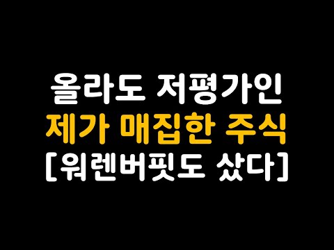 올라도 저평가인 제가 매집한 주식 워렌버핏도 샀다 