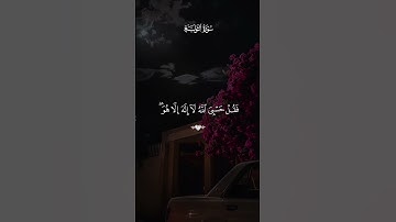 سورة التوبة بصوت القارئ ماهر المعيقلي 💙
