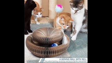 CatRing™ Magic Organ Cat Scratching Board