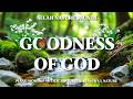 Goodness Of God 🌿 Instrumental Worship &amp; Prayer Music with Scriptures &amp; Nature🌿