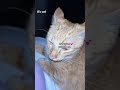 Awwwwwwwh