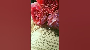 القرآن الكريم { سورة الشعراء }