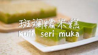 斑斓糯米糕 | 超级简单的制作方法 [ Kuih ] [ Recipes ] [ 传统糕点 ]