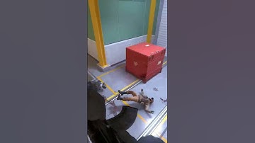 4k on Nuke #cs2 #csgo #dmarket #ak47