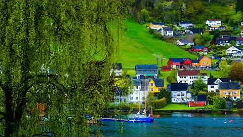 محمود سعيد/كركوك /سورة الملك /برواية سوسي عن أبي عمرو البصري