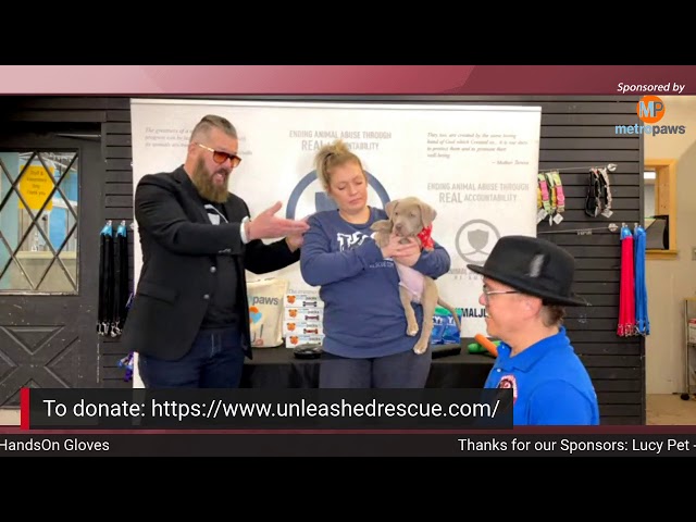 A Visit to Unleashed Pet Rescue and Adoption and the Animal Justice League