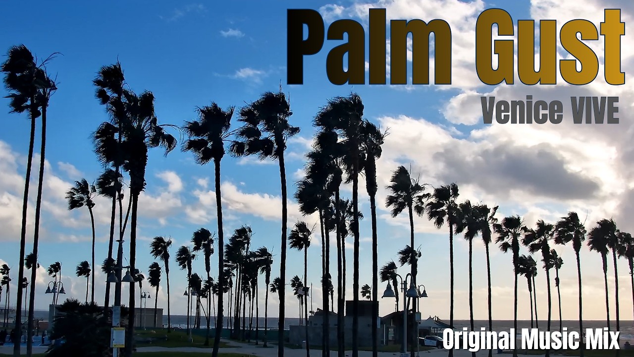 Venice Beach Palm Gust | 1 Hour Lo-Fi Instrumental | Original Music Mix | Venice Vive