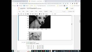 Classification of dogs and cats project