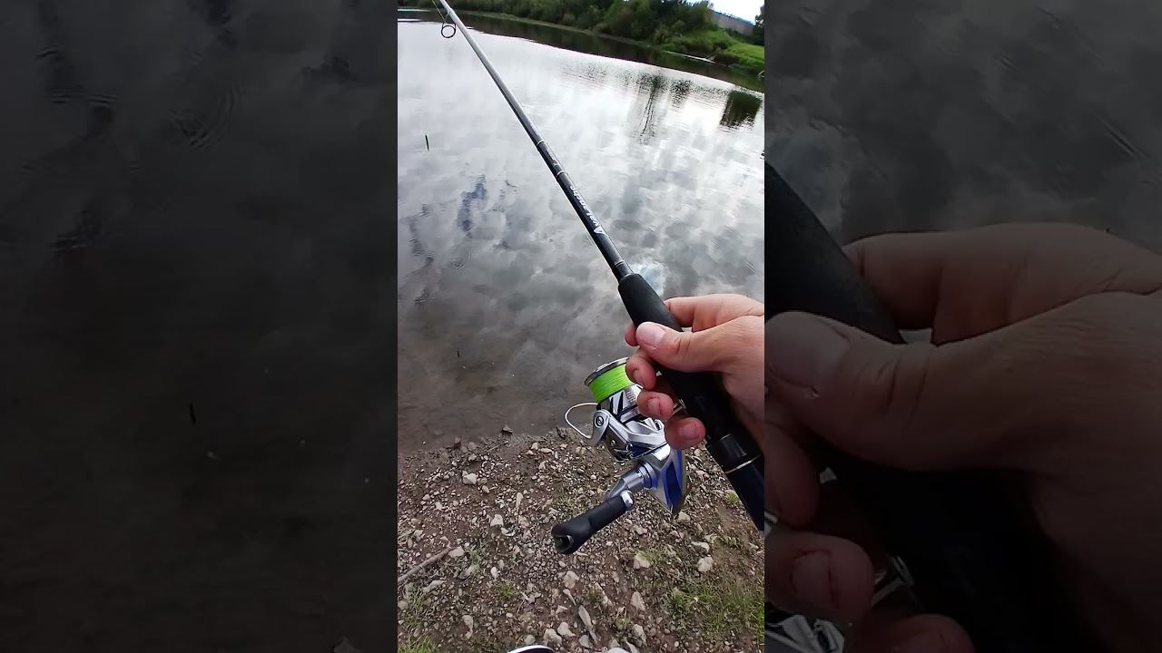 обзор zetrix avalanch и shimano stradic