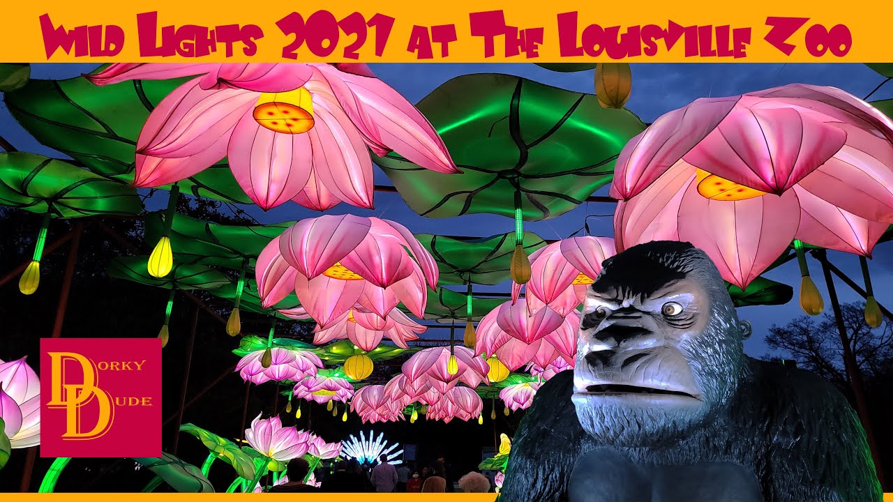 Wild Lights 2021 at The Louisville Zoo Full tour of the annual Asian lantern festival! YouTube