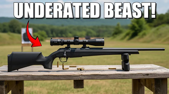 These 5 INSANELY Accurate Rifles Are Hidden Gems — #1 Will Shock You.
