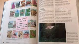 APES Miller Ch 9 sticky notes
