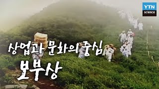 조선의 상업과 문화의 중심, 보부상 / YTN 사이언스