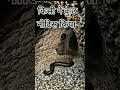 जिसको दर्शन हो जाए हर हर महादेव लिख देनाll हर हर महादेव शंभू #