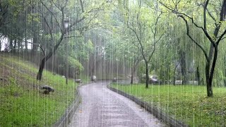 Download Lagu Echte regengeluiden opgenomen op een pad bij hevige regen - Slaap, ontspanning, concentratie MP3 Download Lagu Echte regengeluiden opgenomen op een pad bij hevige regen - Slaap, ontspanning, concentratie MP3