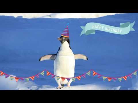 happy-birthday-penguin