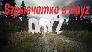 Взрывчатка в Dayz