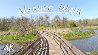 Across the Wetlands | 4K Nature Hike | Nature Sounds | Ankeny Wildlife Refuge Oregon