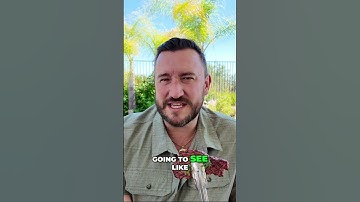 Carnivore Diet  My Body Transformation & Viewer