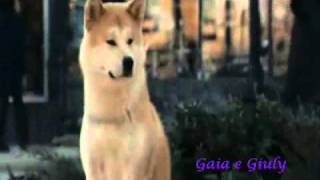 Hachiko, cane fedele - A Dog's Story