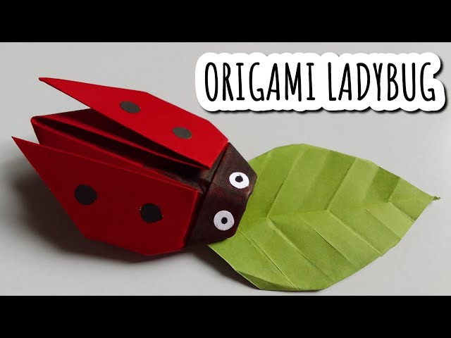 How To Make A Origami Ladybug How To Make A Paper Plate Ladybug