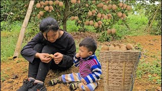 17 year old single mother: picks fruit to sell - builds chicken coop | Ly Tieu Nu