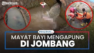 Mayat Bayi Ditemukan Petani Mengambang di Saluran Irigasi Sawah di Jombang